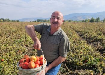 Muş Hasköy'de, Vatandaşlar Kendi Sebzesini Kendi Hasat Ediyor! Muş Hasköy’de, Vatandaşlar Kendi Sebzesini Kendi Hasat Ediyor!
