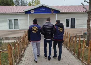 Muş’ta, Aranan Hırsızlık Hükümlüsü Yakalandı!