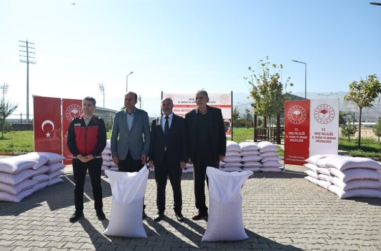 Muş'ta, Tarıma 11,5 Milyon Liralık Tohum Desteği! musta tarima 11 5 milyon liralik tohum destegi habermeydan