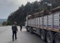Sinop'ta, Orman Muhafaza Ekiplerinden Yasa Dışı Faaliyetlere Geçit Yok! Sinop’ta, Orman Muhafaza Ekiplerinden Yasa Dışı Faaliyetlere Geçit Yok!