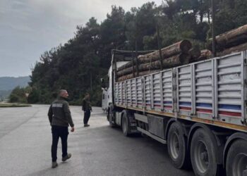 Sinop'ta, Orman Muhafaza Ekiplerinden Yasa Dışı Faaliyetlere Geçit Yok! Sinop’ta, Orman Muhafaza Ekiplerinden Yasa Dışı Faaliyetlere Geçit Yok!