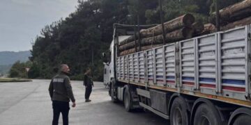Sinop’ta, Orman Muhafaza Ekiplerinden Yasa Dışı Faaliyetlere Geçit Yok!
