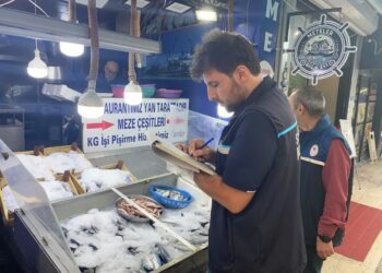 Sinop'ta, Perakende Balık Satış Noktalarına Sıkı Denetim! Sinop’ta, Perakende Balık Satış Noktalarına Sıkı Denetim!