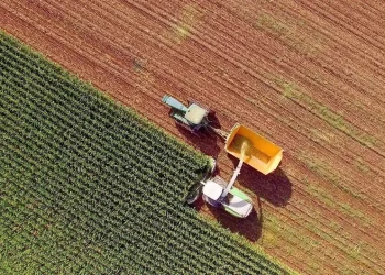 Türkiye’nin dev gıda şirketi iflas etti: 3 ay önce konkordato ilan etmişti