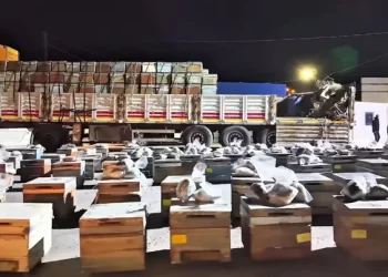 Arı kovanlarından uyuşturucu çıktı: Tırda 91,1 kilo madde ele geçirildi