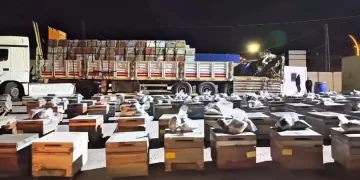 Arı kovanlarından uyuşturucu çıktı: Tırda 91,1 kilo madde ele geçirildi