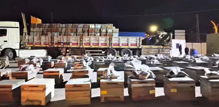 Arı kovanlarından uyuşturucu çıktı: Tırda 91,1 kilo madde ele geçirildi uyusturucu9 habermeydan
